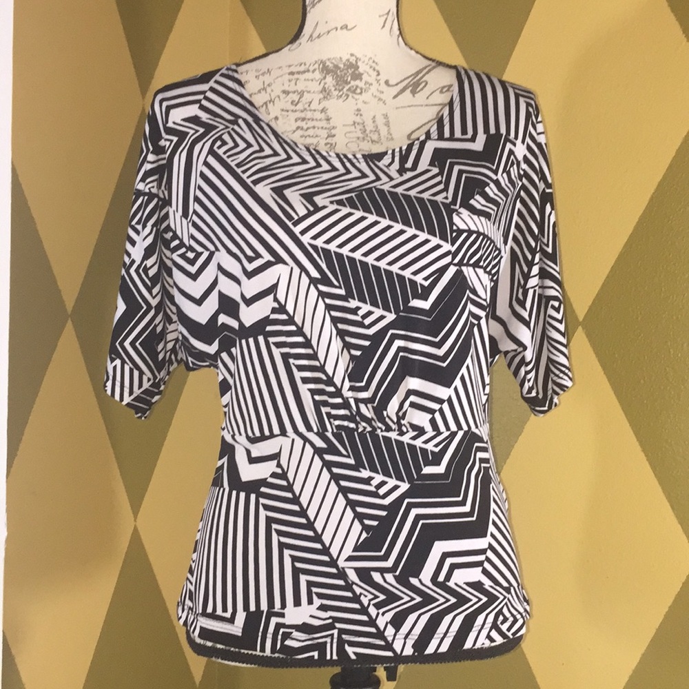 Susan Lawrence Petite Fitted Dolman Sleeve Top PM